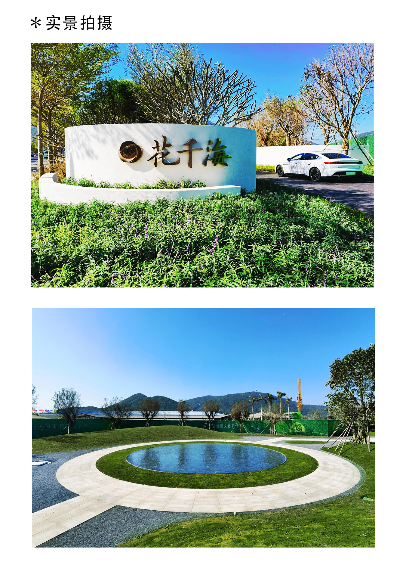 玫瑰1.jpg