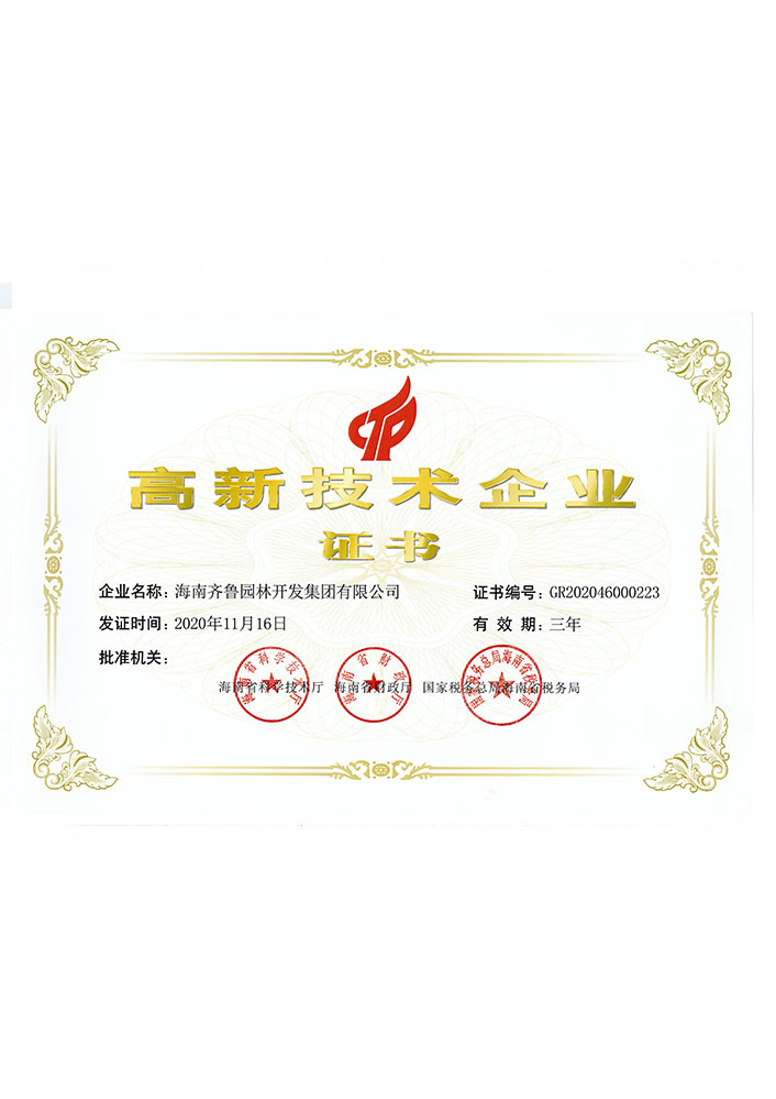集团高新技术企业证书